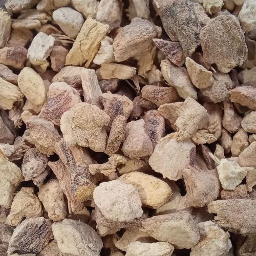 Galgant-Wurzel BIO geschnitten