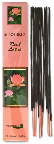 Auroshikha Real Lotus